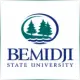 Bemidji State University - Literature School Ranking