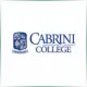 Cabrini University - Literature School Ranking