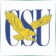 Coppin State University - Literature School Ranking