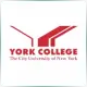CUNY York College - Literature School Ranking
