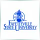 Fayetteville State University - Literature School Ranking