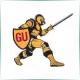 Gannon University - Literature School Ranking