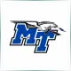 Middle Tennessee State University - Literature School Ranking