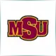 Midwestern State University - Literature School Ranking