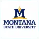 Montana State University - Literature School Ranking