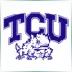 Texas Christian University - Literature School Ranking