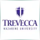 Trevecca Nazarene University - Literature School Ranking