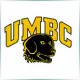 University of Maryland Baltimore County - Literature School Ranking