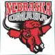 University of Nebraska at Omaha - Literature School Ranking