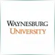 Waynesburg University - Literature School Ranking