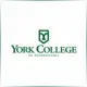 York College Pennsylvania - Literature School Ranking